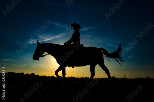 Silhouette cowgirl on horse at sunrise 1