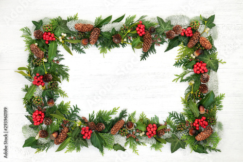 Natural winter and Christmas background border with holly and a variety of flora and fauna on rustic wood background with copy space.