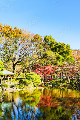 Landscape of Japanese autumn color tree and leaves and pond water in winter Japan