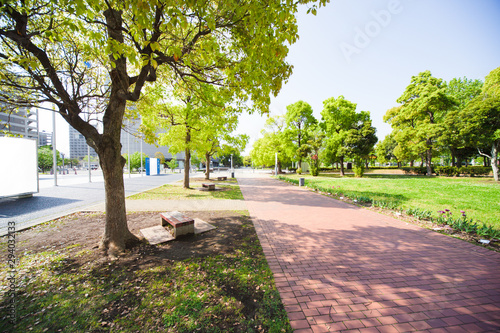 お台場の遊歩道（日本科学未来館前）