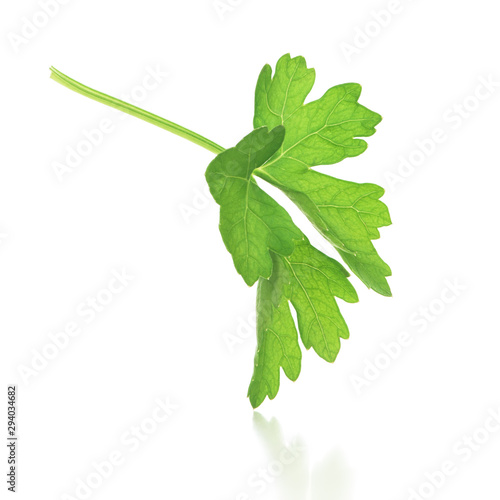 Leaf parsley closeup with reflection on an isolated white background