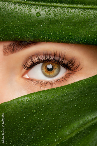 Beautiful Woman with long lashes on the background of a leaf of monstera with water droplets.. Eyelash extension procedure.