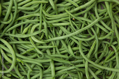 Haricots verts