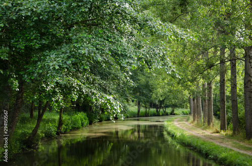 chemin de halage au bord du canal avec des arbres