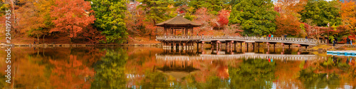 Scenic view of Nara public park in autumn, with maple leaves, pond and old oriental pavilion reflected in the water