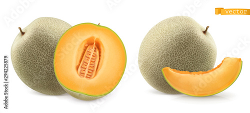 Sweet melon, cantaloupe. 3d realistic vector icon