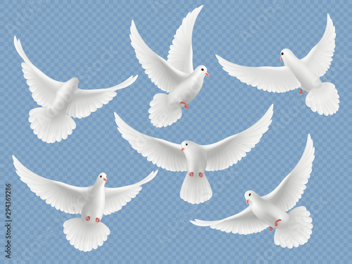 Realistic doves. White freedom flying birds pigeons religion symbols vector pictures collection. Set of pigeon and white dove freedom illustration