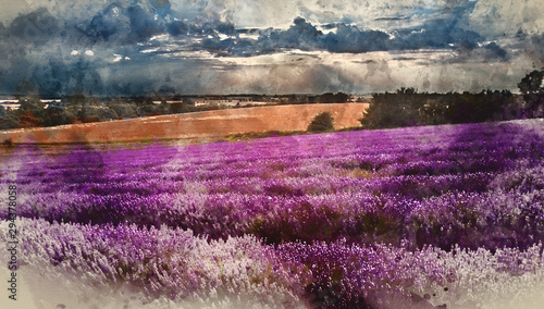 Digital watercolor painting of Beautiful lavender field landscape with dramatic sky