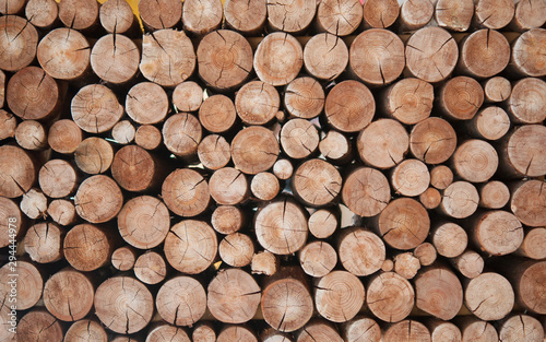 Pile of wood logs stumps for winter