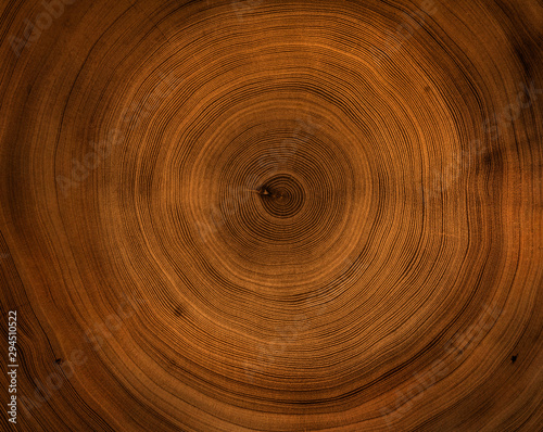 Old wooden mahogany tree cut surface. Detailed warm dark brown and orange tones of a felled tree trunk or stump. Rough organic texture of tree rings with close up of end grain.