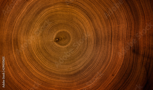 Old wooden mahogany tree cut surface. Detailed warm dark brown and orange tones of a felled tree trunk or stump. Rough organic texture of tree rings with close up of end grain.