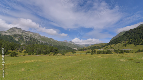 Panorama di montagna con abeti e cielo blu