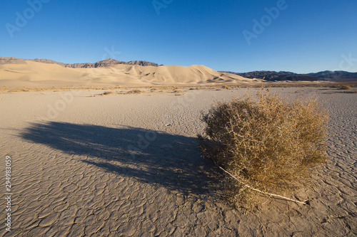 A long shadow cast by tumbleweed with Eureka Dunes in the background.