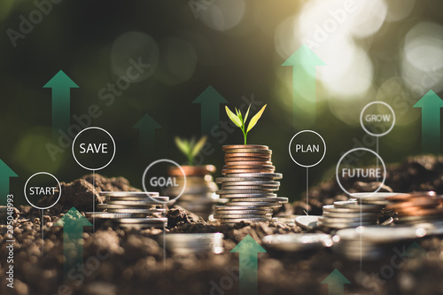 The seedlings are growing on the coins placed on the ground, thinking about financial growth.