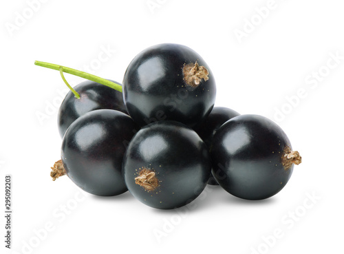 Black currant berries isolated