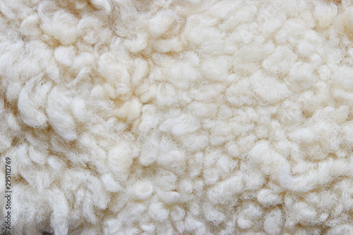 White soft wool background, natural sheepskin rug.