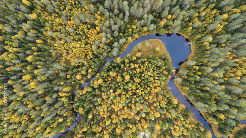 Autumn winding river top down view. Aerial photography. Beautiful corolful landscape.