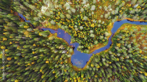 Autumn forest with yellow and red trees and blue river aerial view.