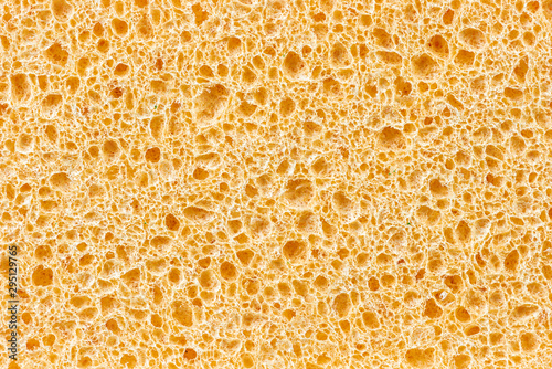 Macro view cellulose sponge texture