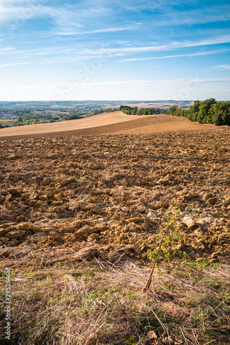 campagne agricole