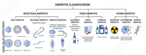 Hepatitis classification. Types of hepatitis: infectious, viral, bacterial, parasitic, toxic, alcoholic, drug, autoimmune, radiation hepatitis. Vector illustration in flat style over white background