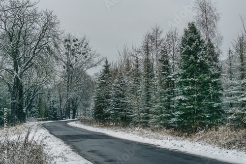 Zima w lesie i na drodze, trudne warunki drogowe podczas odwilży