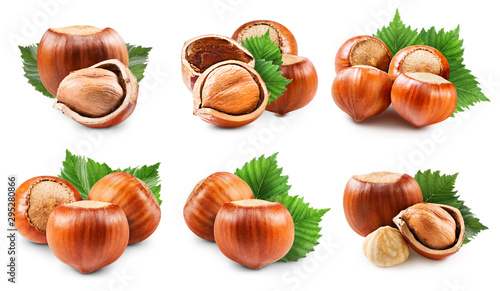 Hazelnuts collection isolated on white background