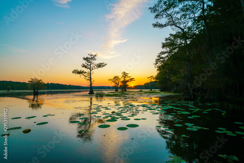 Sunset view with bald cypress trees and lily pads at Caddo Lake near Uncertain, Texas