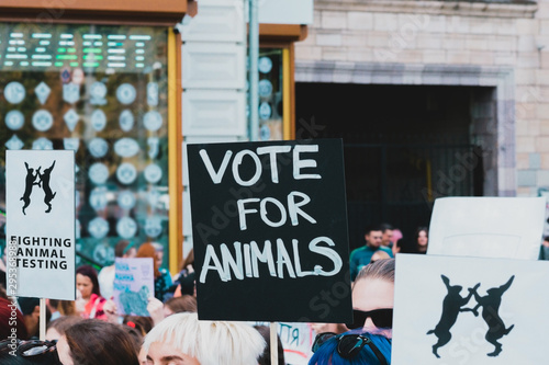 " Vote for animals " banner at Animal Right Protest. No to animal testing. Cruelty free. March for animal. Rally