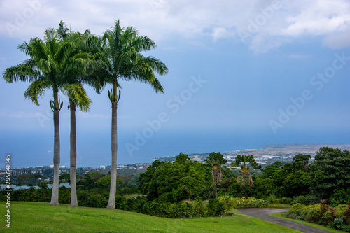 ハワイ島の風景