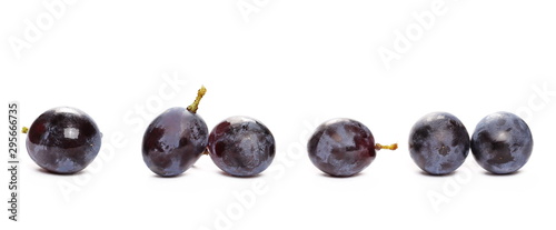 Fresh black muscat grapes isolated on white background