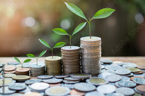 Plant money coins saving growth up to profit interest for concept investment mutual fund finance and business