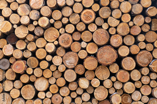 Stacked Wood Logs Pattern Background