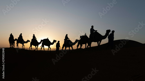 Silhouetted camel caravan at sunrise with sun shining behind a camel