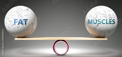 Fat and muscles in balance - pictured as balanced balls on scale that symbolize harmony and equity between Fat and muscles that is good and beneficial., 3d illustration