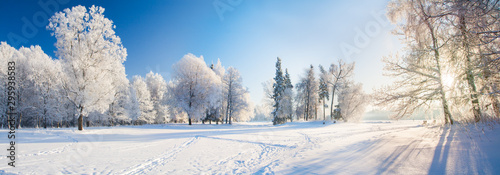 Panorama of beautiful winter park