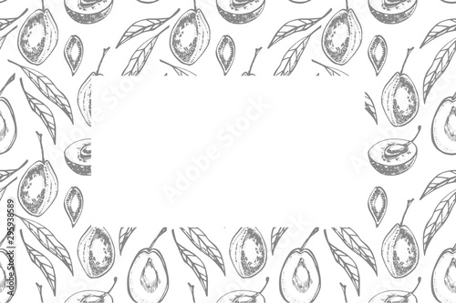 Plums hand drawn illustration. Ink sketch. Hand drawn illustration. Isolated on white background. Healthy organic food. Farm market products. Best for package design.