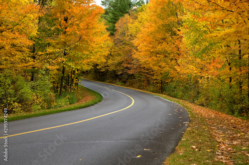 Beautiful Curved Country Road during Fall Season in Gatineau Park Quebec Canada