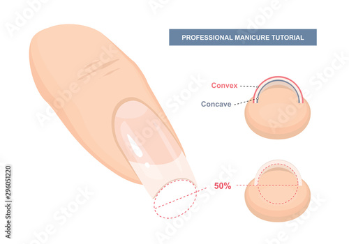 Correct C-curve. Manicure Tutorial. Nail Extension Guide. Tips and Tricks. Vector Illustration