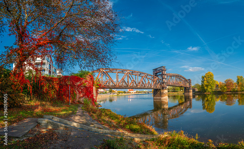 Cityscape of old railway metal rusty bridge in red ivy leaves over Elbe river in downtown of Magdeburg in Autumn colors, Germany