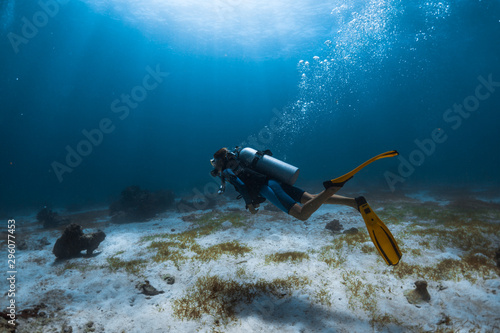 Woman scuba diver swims alone underwater over the sea bottom covered with a sea weed