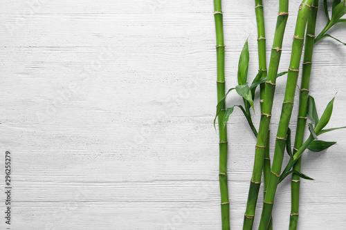 Green bamboo stems on white wooden background, top view. Space for text
