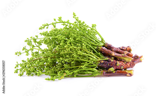 Medicinal neem flower over white background