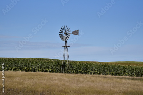 Field & Windmill