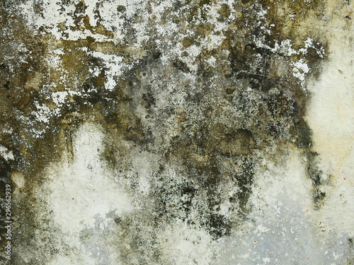 mold on concrete wall texture