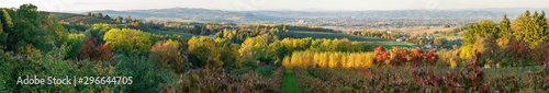 Obstplantage in Scharten in Oberösterreich mit Blick in das Eferdinger Becken im Herbst Panorama