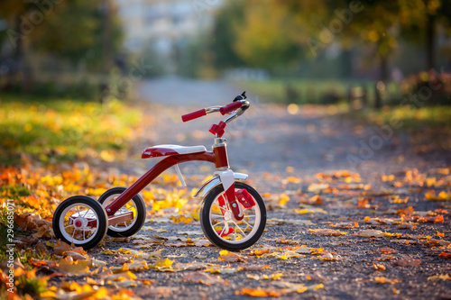 Red tricycle in the park on sunset, beautiful day