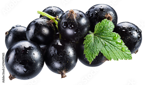 Ripe blackcurrant branch with green leaf on the white background. Clipping path.