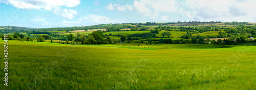 Scenic panoramic view of rolling countryside green farm fields with sheep, cow and green grass in New Grange, County Meath