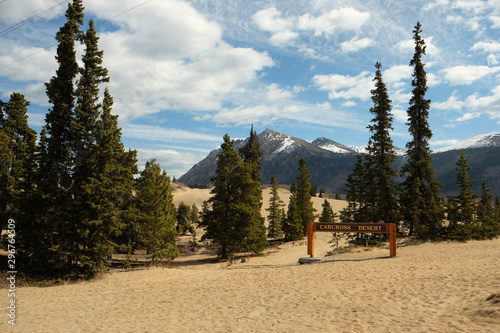 Desert in Carcross